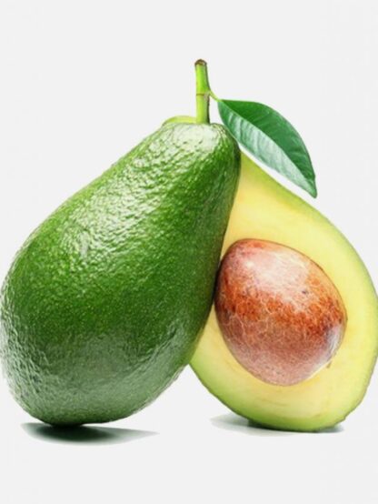 cropped aguacate fuert