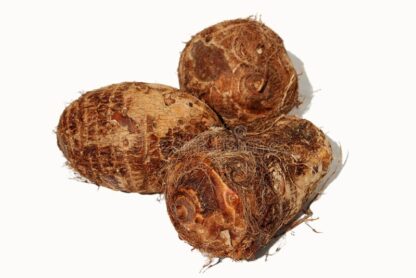 taro o malanga colocasia esculenta imagen vegetal sobre fondo blanco cocoyams viejo cocoyam arrowroot eddoe macabo tubérculos 246149050